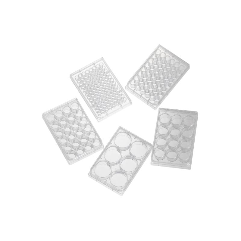plate coating for cell culture