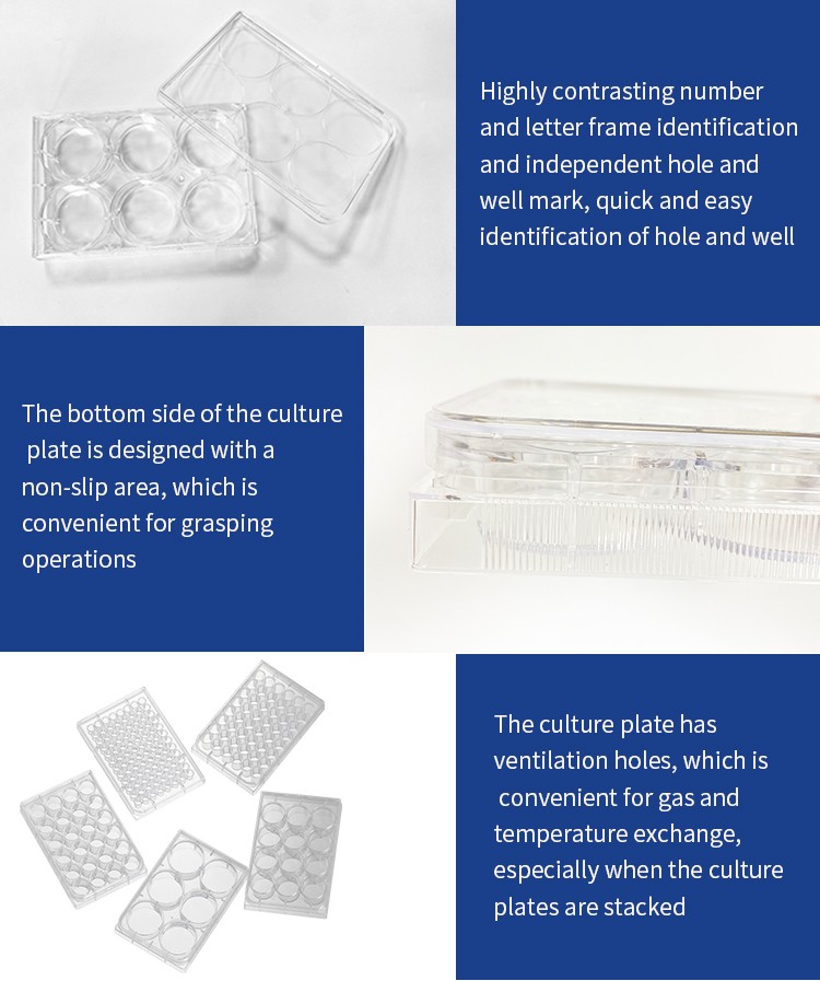 48 well cell culture plate 